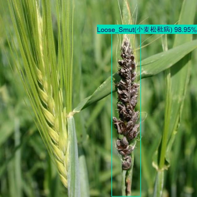 Cover Image of the Post